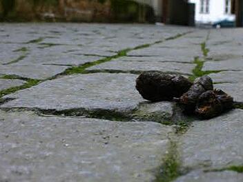 Symbolbild: Hofbauer