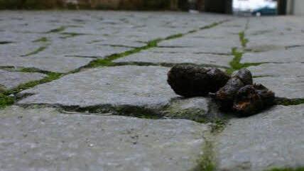 Symbolbild: Hofbauer