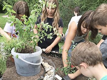 Die Grundsch&uuml;ler bepflanzen die Kr&auml;uterschnecke.  Foto: Birgit Sp&ouml;rl