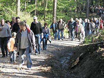 Stets sind es mehrere hundert Teilnehmer, die sich auf die "Fünf-Sterne"-Wanderungen begeben. Unser Bild entstand im Jahr 2007, als die Tour mitten durch den Steigerwald in Rauhenebrach führte.  Foto: ks/Archiv