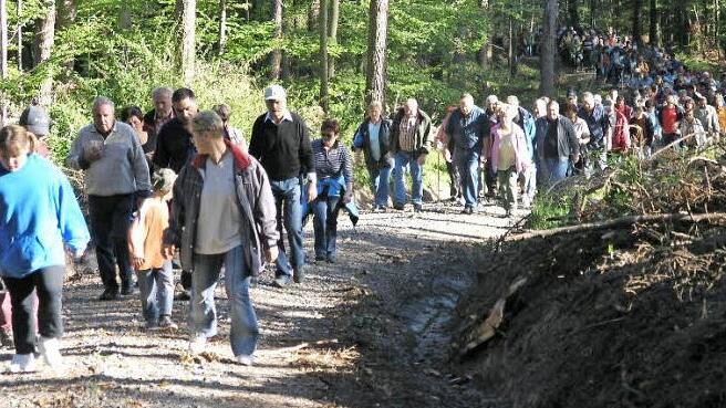Stets sind es mehrere hundert Teilnehmer, die sich auf die "Fünf-Sterne"-Wanderungen begeben. Unser Bild entstand im Jahr 2007, als die Tour mitten durch den Steigerwald in Rauhenebrach führte.  Foto: ks/Archiv