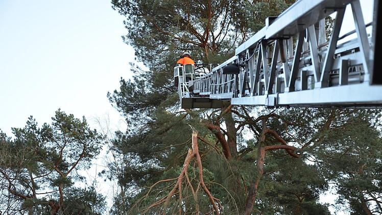 Sturmtief Friederike sorgte in Erlangen für 30 Einsätze der Feuerwehren. Bäume stürzten um, in einem Fall musste ein Gerüst gesichert werden. Foto: Feuerwehr Erlangen