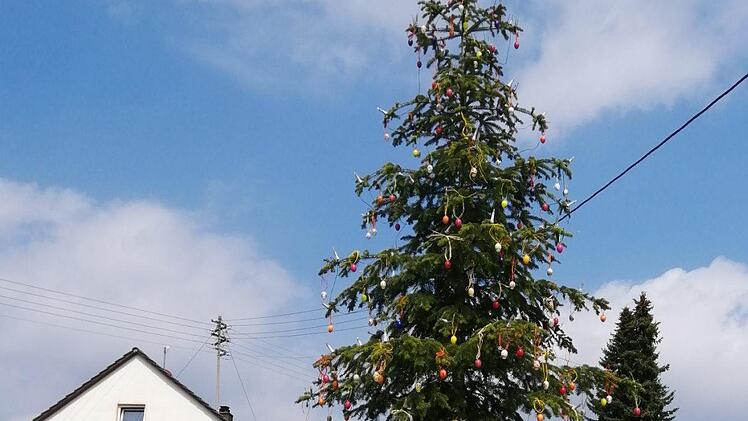 Der Osterbaum in Morschreuth wird geschmückt. Foto: Thomas  Weichert