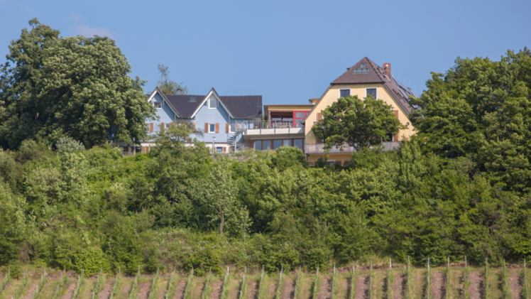 Die Klinik am Steigerwald vereint Ansätze der chinesischen Medizin mit biologischer Naturheilverfahren und schulmedizinischen Methoden. Foto: Klinik am Steigerwald