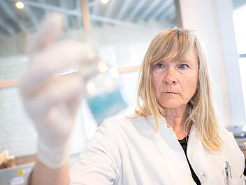 Labor: Manche Kleidung bei Shein mit Chemikalien belastet
