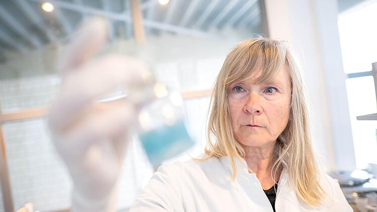 Labor: Manche Kleidung bei Shein mit Chemikalien belastet