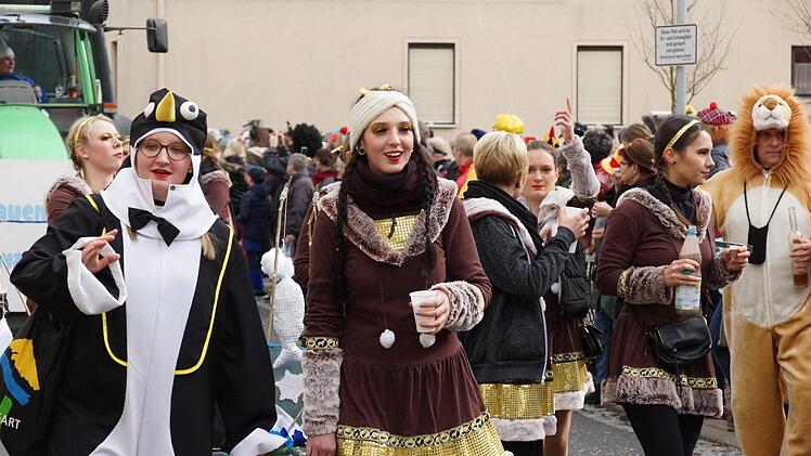 Faschingsumzug in SulzthalFoto: Arkadius Guzy