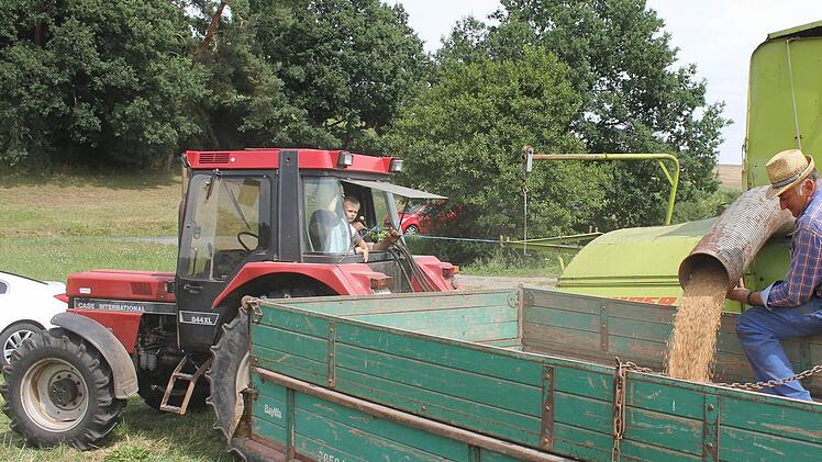 Walter Lehnert kontrolliert das Entladen des Körner-Tanks eines gezogenen Claas-Mähdreschers.  Foto: Janina Reuter