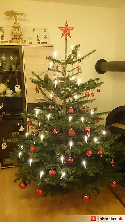 Weihnachten in Franken: Die Christbäume unserer Leser
