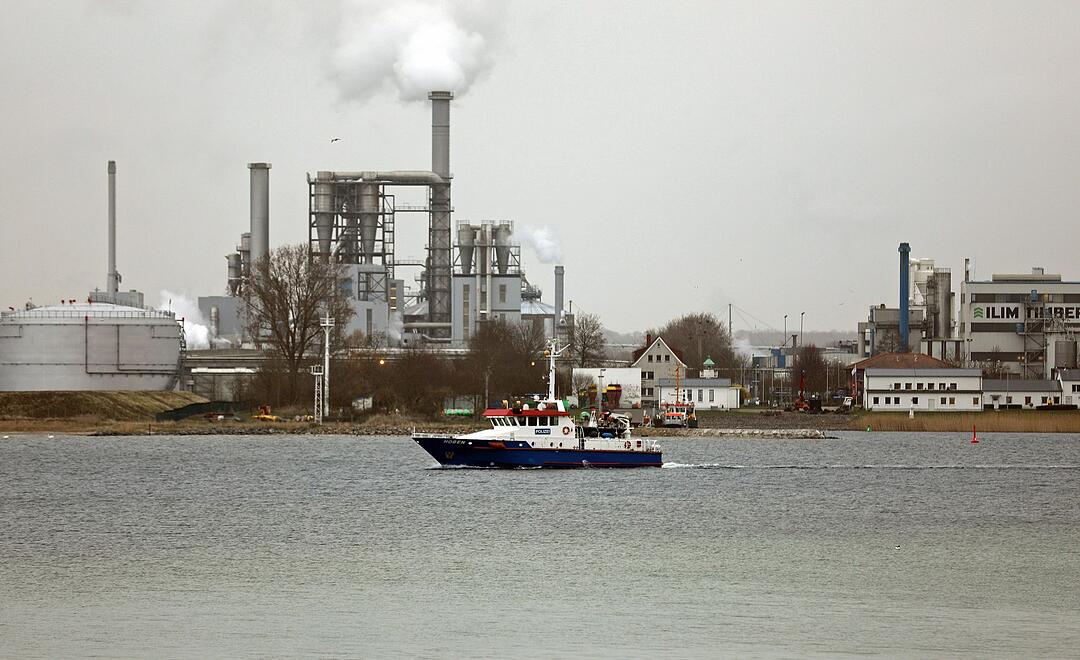 Buckelwal vor Ostseek&uuml;ste ist abgetaucht