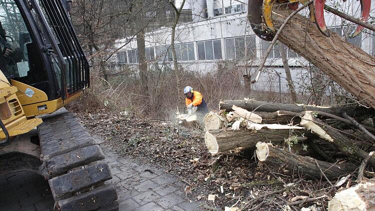 Foto: Josef Hofbauer