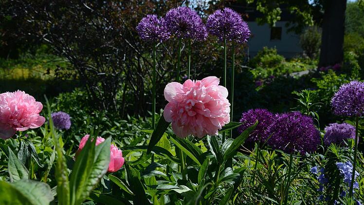 Die Traumgarten AG zu Besuch bei Anita Heerdegen im Guttenberger Ortsteil Eeg. Foto: Dagmar Besand