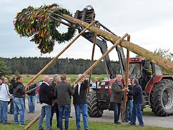 Mit vereinten Kräften wurde der Plobaum beim Festplatz aufgestellt.  Foto: Björn Hein