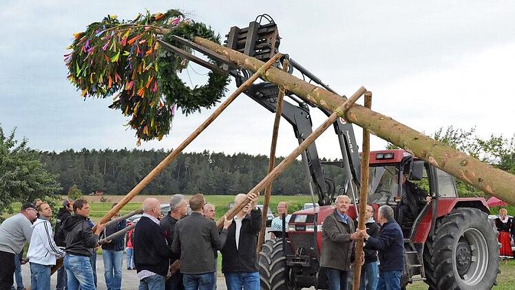 Mit vereinten Kräften wurde der Plobaum beim Festplatz aufgestellt.  Foto: Björn Hein