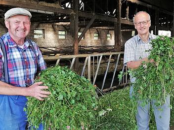Mit frischem Kleegras füttert Landwirt Karl Schneider (links) seine Milchkühe; mit im Bild: Peter Will, Abteilungsleiter im AELF. Foto: Sigismund von Dobschütz