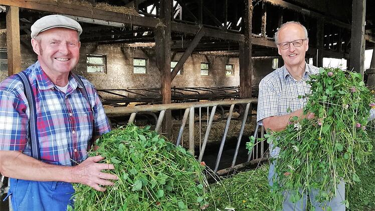 Mit frischem Kleegras füttert Landwirt Karl Schneider (links) seine Milchkühe; mit im Bild: Peter Will, Abteilungsleiter im AELF. Foto: Sigismund von Dobschütz