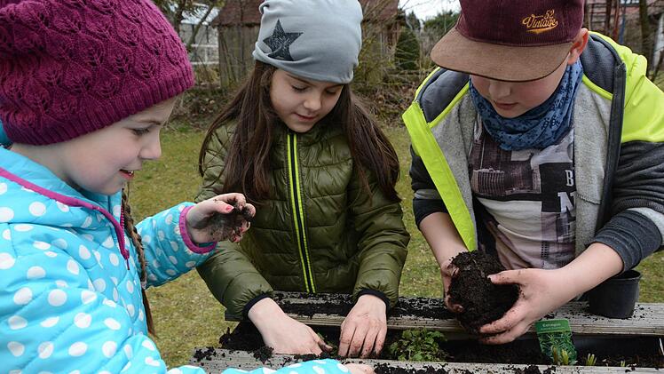 Erster Arbeitseinsatz im Melkendorfer Schulgarten: Die Grundschüler sind mit vollem Einsatz dabei! Foto: Dagmar Besand