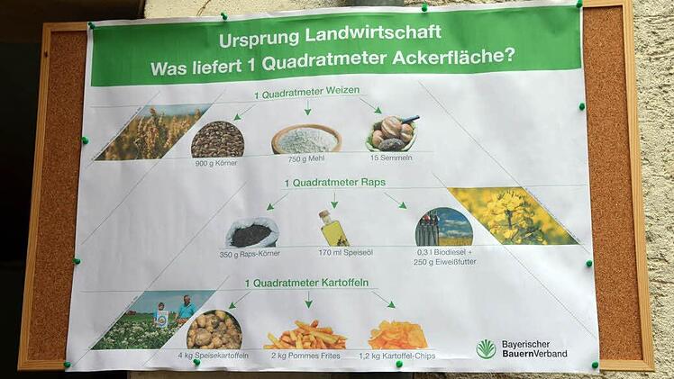 Foto: Andrea Spörlein