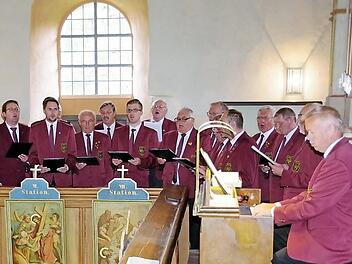 Mit einem Orgel-, Bläser- und Chorkonzert beteiligte sich Steinberg als einziger Ort im Landkreis am Deutschen Orgeltag, hier der "Liederkranz" Haig unter Leitung von Thomas Detsch (an der Orgel). Foto: H. Schülein