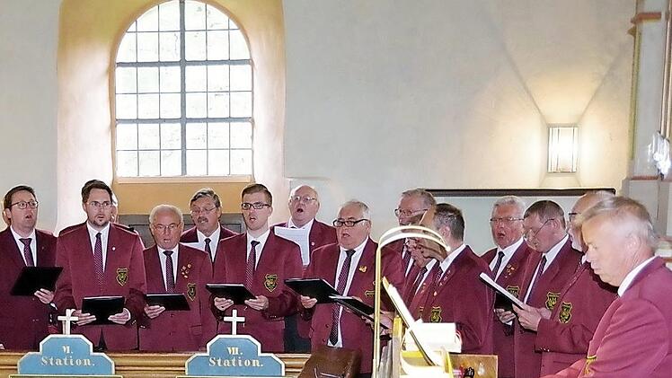 Mit einem Orgel-, Bläser- und Chorkonzert beteiligte sich Steinberg als einziger Ort im Landkreis am Deutschen Orgeltag, hier der "Liederkranz" Haig unter Leitung von Thomas Detsch (an der Orgel). Foto: H. Schülein