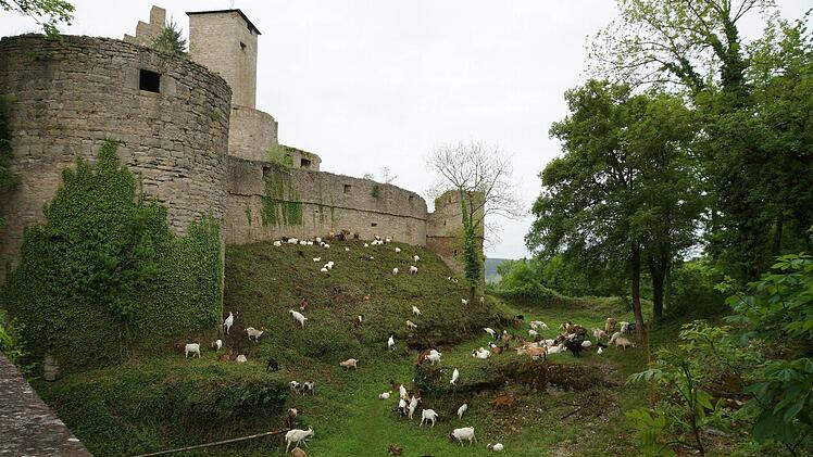 Bayerntour Natur