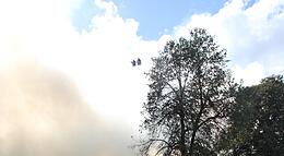 Vorschaubild