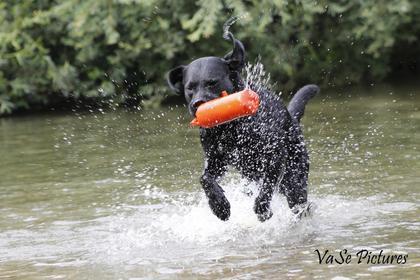 Foto:  VaSePictures