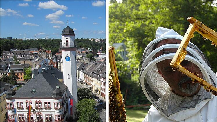 Hof: Amerikanische Faulbrut ausgebrochen - Stadt legt wegen Tierseuche Sperrbezirk fest