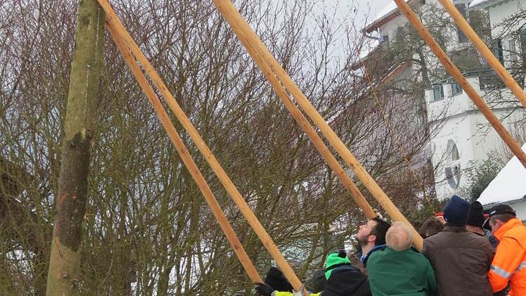 Ein Tross aus mehreren Traktoren brachte die "Bürgermeister"-Bäume an Ort und Stelle. Foto: Doris Bauer