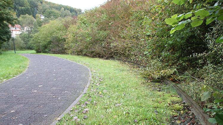 Die Schienen der ehemaligen Schmalspurbahn verlaufen parallel zum Weg zwischen Stadt und Staatsbad. Foto: Ulrike Müller