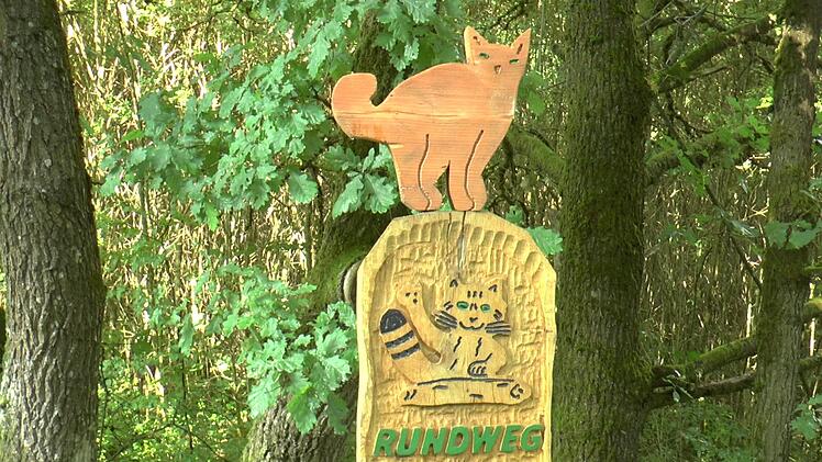 Katze "Eberhard" (unten) wird den Besuchern den richtigen Weg weisen.Christian Licha