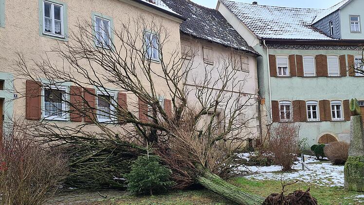 Die Wetterkapriolen führten selbst in Münnerstadt zu Schäden. Foto: Heike Beudert