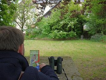 So geht's: Ein Fernglas braucht man nicht unbedingt, aber zumindest einen Zettel und einen Stift, um die Tiere bei der "Stunde der Gartenvögel"zu zählen. Am Wochenende findet die Zähl-Aktion des Landesbundes für Vogelschutz wieder statt. Foto: Berthold Köhler