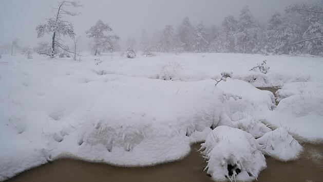 Durchaus von eigenem Reiz: Das Schwarze Moor im Winterkleid bietet Motive f&uuml;r Fotografen. Im Winter ist der Wanderpfad aber aus Sicherheitsgr&uuml;nden gesperrt. Und unser Foto entstand bereits im Sp&auml;therbst nach einem kurzen Wintereinbruch. Foto: Sonja Demmler
