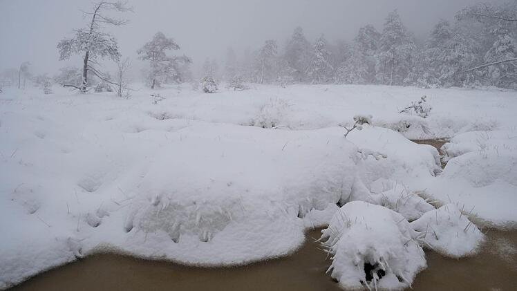 Durchaus von eigenem Reiz: Das Schwarze Moor im Winterkleid bietet Motive f&uuml;r Fotografen. Im Winter ist der Wanderpfad aber aus Sicherheitsgr&uuml;nden gesperrt. Und unser Foto entstand bereits im Sp&auml;therbst nach einem kurzen Wintereinbruch. Foto: Sonja Demmler