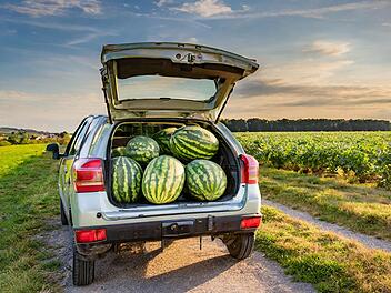 Niederbayern: Senior versucht etliche Wassermelonen von Feld zu stehlen