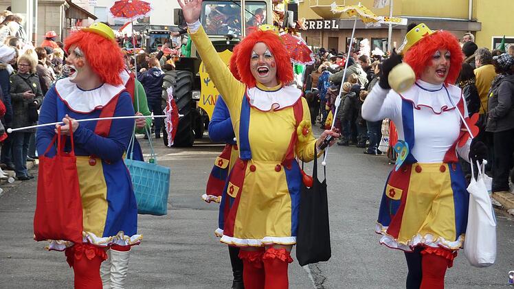 Die Faschingssaison erreicht dieses Wochenende ihren H&ouml;hepunkt. Foto: Veronika Schadeck/ Archiv