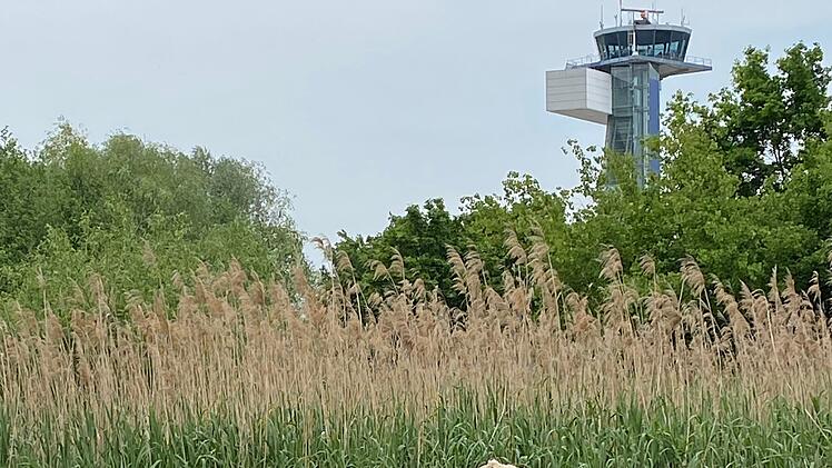 Schafe am Bucher Landgraben