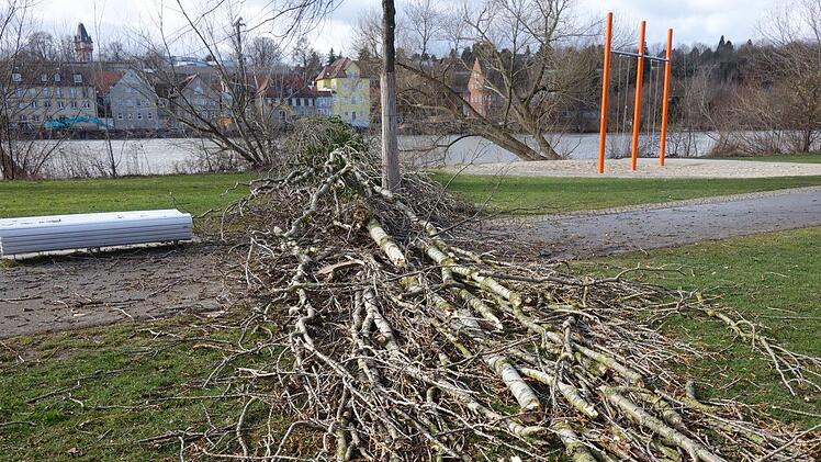 Ein entwurzelter Baum auf der Erba-Insel. Foto: Werner Balling