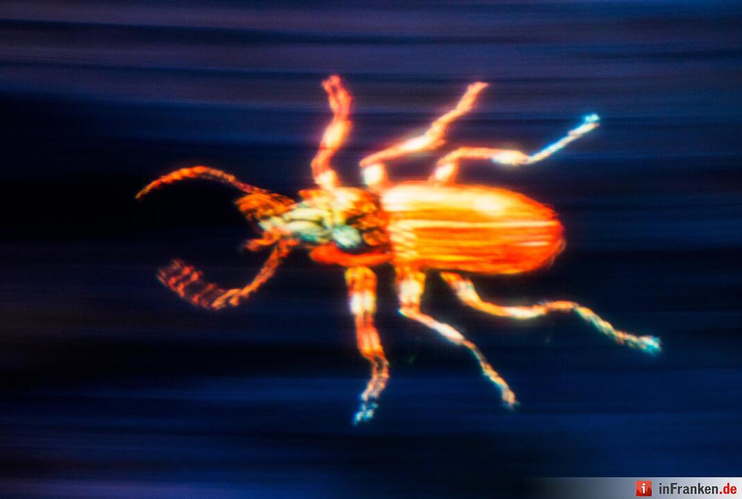 "Blaue Nacht" in Nürnberg