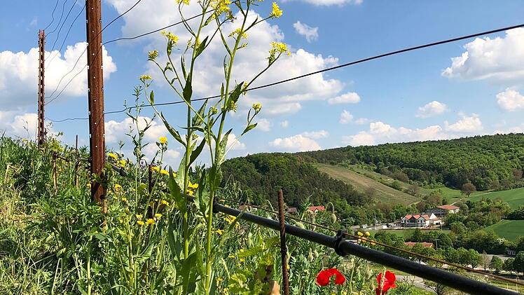 Schöne Aussicht.