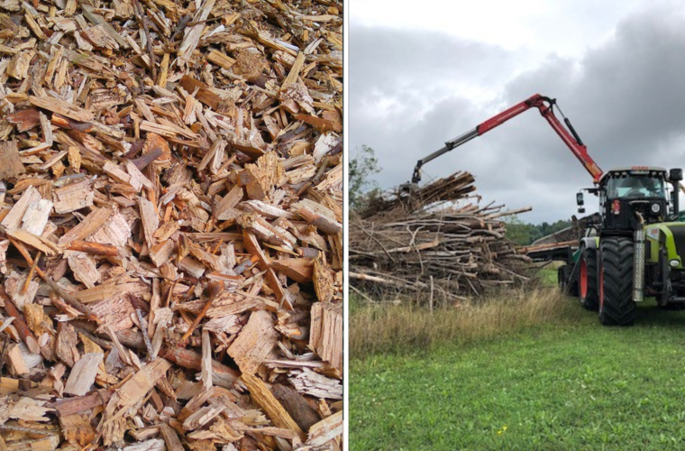 Heizen mit Hackschnitzeln - Eine nachhaltige Alternative? Für wen sich der Umstieg lohnt