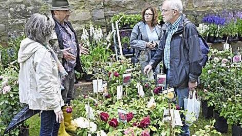 Die Garten- und Rosenmesse bot Raum für viele nette Gespräche.
