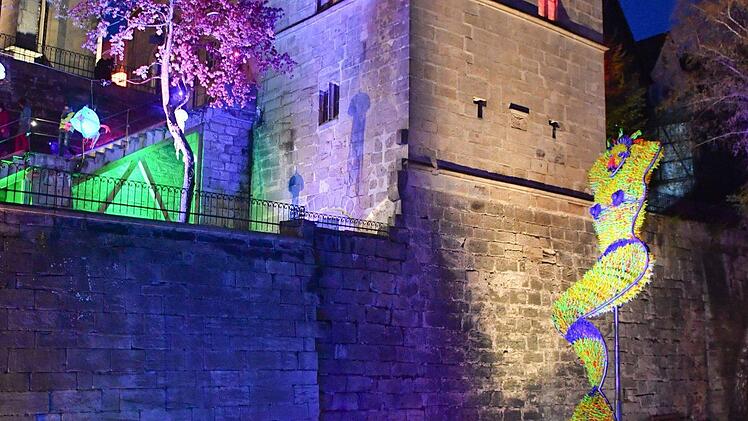 Impressionen von der "Kronach leuchtet"-Generalprobe. Foto: Ronald Rinklef