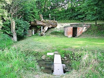 Zwar idyllisch gelegen, aber mit großem Sanierungsbedarf präsentiert sich derzeit noch die Brunnenstube am Ortsrand von Lauter. Foto: nge