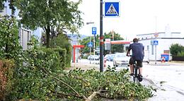 Vorschaubild