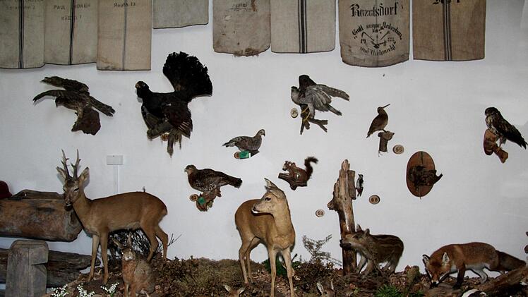 Impressionen von der Museumskerwa   Foto: Richard Sänger