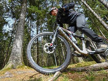 Wurzeln quer über den Weg sind für Mountainbiker wie Gerd Kammerer kein Problem.  Foto: Ronald Rinklef