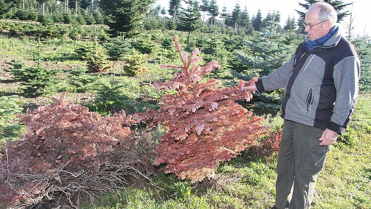 Jedes braune Bäumchen tut Waldemar Baumgärtner in der Seele weh