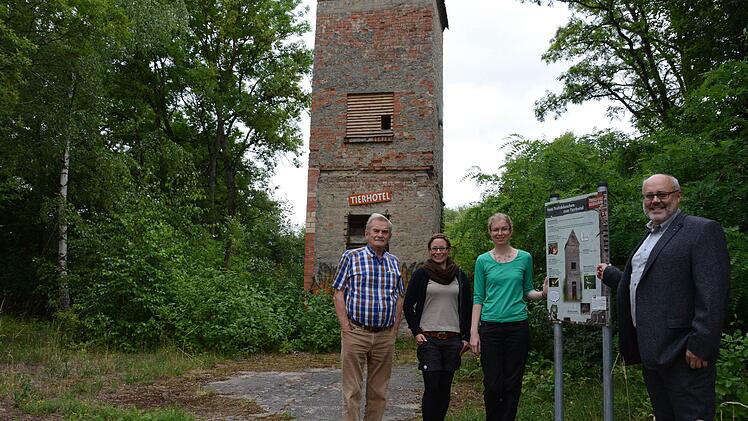Vor der Trafostation, die zum Tierhotel umfunktioniert wurde: Ulf Zeidler vom BN, Nicole Wirl von den Geonauten, Allianzmanagerin Eva Braksiek und Bürgermeister Franz Kuhn. Foto: Elisabeth Assmann